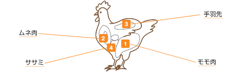 鶏肉の図